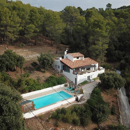 Taradeau La Maison Du Petit Thomas מראה חיצוני תמונה